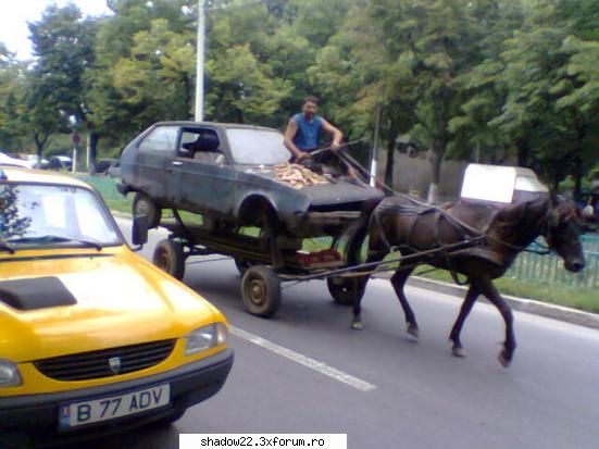 Poze Porcoase - adiFCB - Poze Haioase!