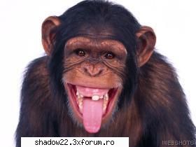 Poze Porcoase - are we having fun yet ? - Poze Haioase!