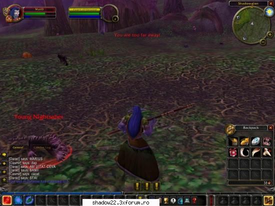 Screenshoturi - elf duid lvl 6 vs nightsaber - World of Warcraft