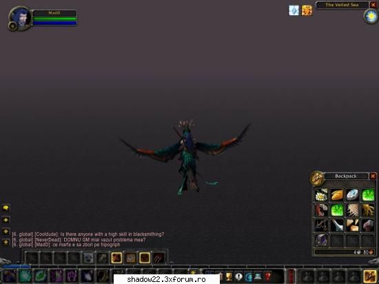 Screenshoturi - D elf druid calare pe hipogriph - World of Warcraft