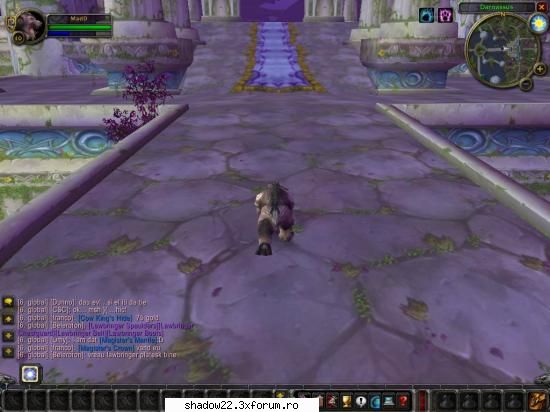 Screenshoturi - nice,elf druid shapeshift bear form - World of Warcraft