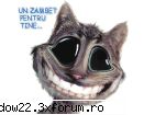 Super Site-uri - trompy912 - Link-uri